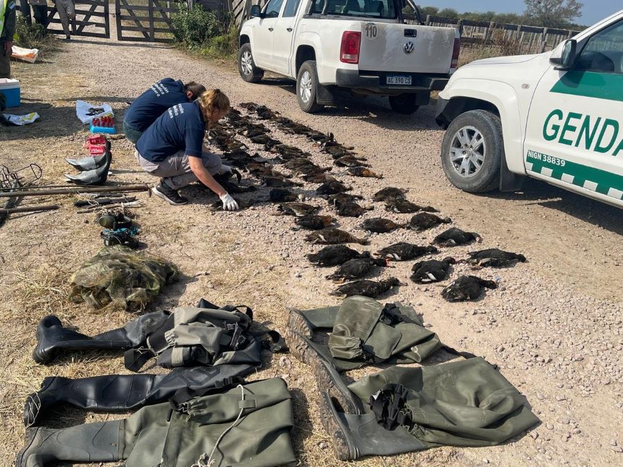 Cazadores extranjeros: justicia fall&oacute; a favor de la provincia de Santa Fe