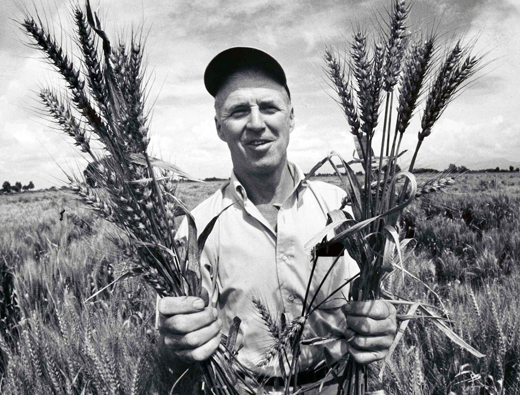 ¿La agroecología puede alimentar al mundo?