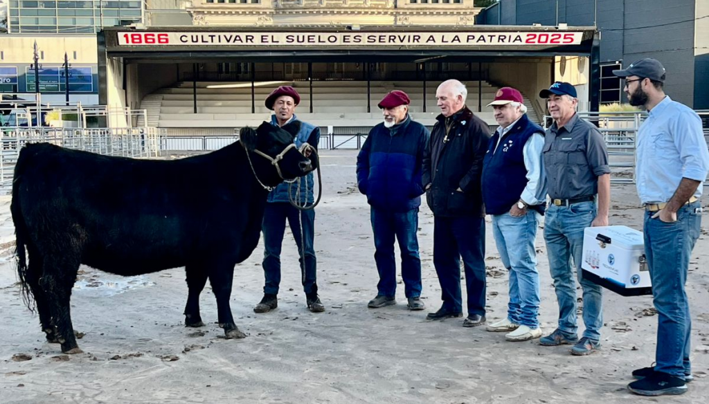 “El punto de partida de lo mejor del año”: los Angus ya viven su Expo de Otoño en Palermo 4 india palermo