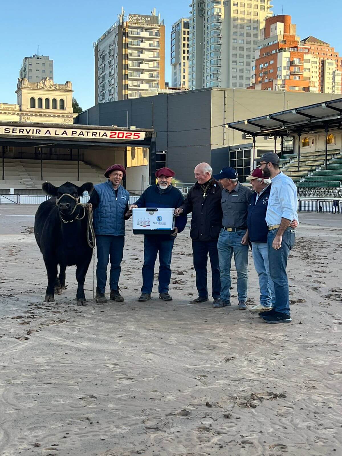 “El punto de partida de lo mejor del año”: los Angus ya viven su Expo de Otoño en Palermo 3 india primer animal angus