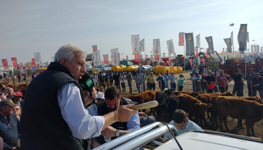 La ganadería se hace carne en Agroactiva, con una amplia agenda de remates 2 remate agroactiva