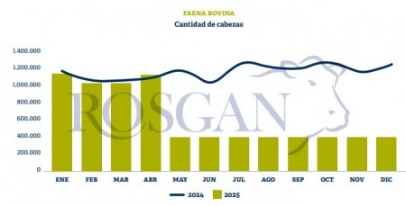 Pese a los vientos a favor, la ganadería aún no logra impulsar una fase clave: la retención 2 rosgan 1