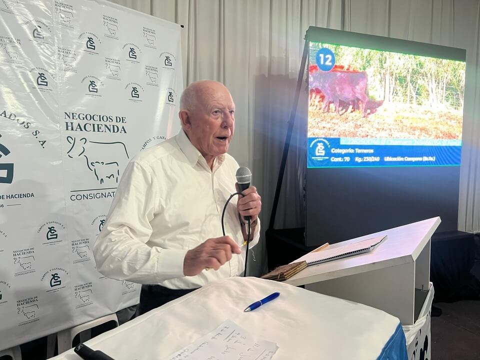 Agroactiva ganadera: buenos precios bovinos, una raza ovina en expansión y un debut histórico caprino 3 campos y ganados remate televisado agroactiva 2025