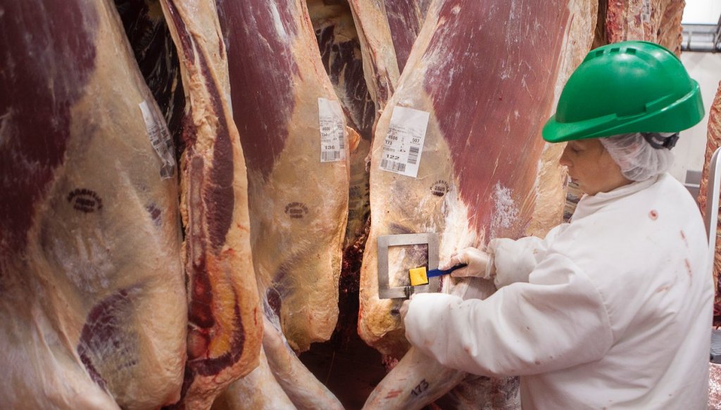 Desregulación en la carne: el Gobierno elimina el peso mínimo de faena 2 carne faena res frigorifico senasa