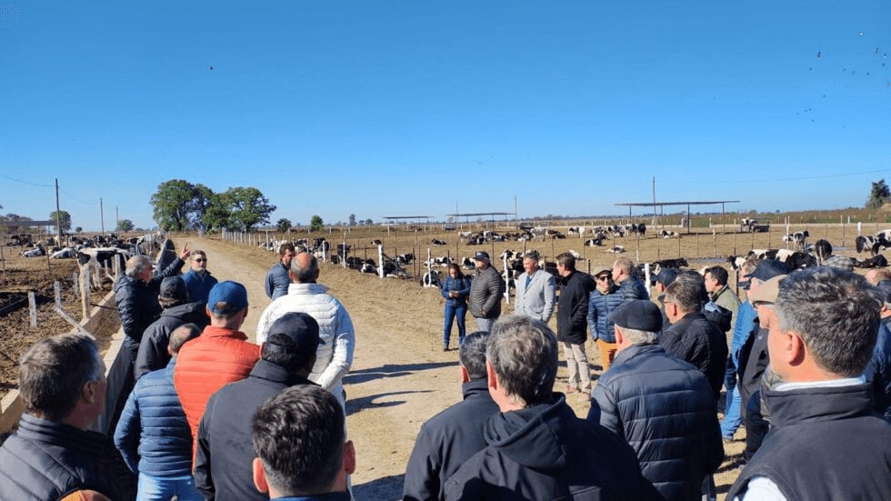 Ganadería asociativa: en Humboldt se inauguró el primer feedlot cooperativo del país 3 feedlot cooperativo