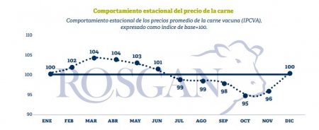 El precio de la carne: la "desinflación" general despierta nuevos desafíos para la ganadería 2 ros