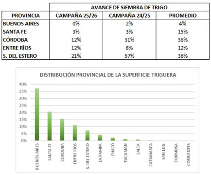 Entre excesos hídricos y márgenes ajustados, el trigo se empantana en el inicio de la campaña 2 siembra trigo avance