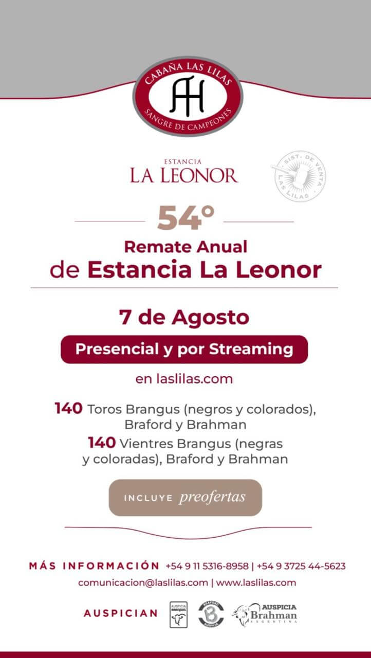 De la genética al plato: con 16.000 vientres, crían bovinos de 5 razas y pintan el buen momento de la ganadería 3