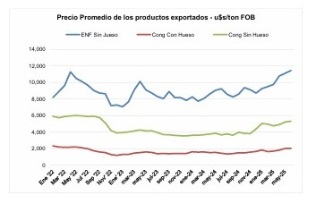 Tras un inicio de año desafiante, las exportaciones de carne consolidan signos de recuperación 4 Sin titulo 2