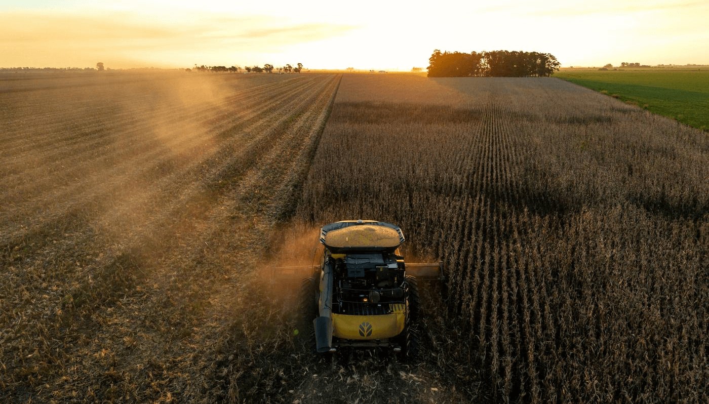 El maíz, en el tramo final de la campaña: cuánto falta por cosechar y cómo vienen los rindes 3 cosecha maiz new holland