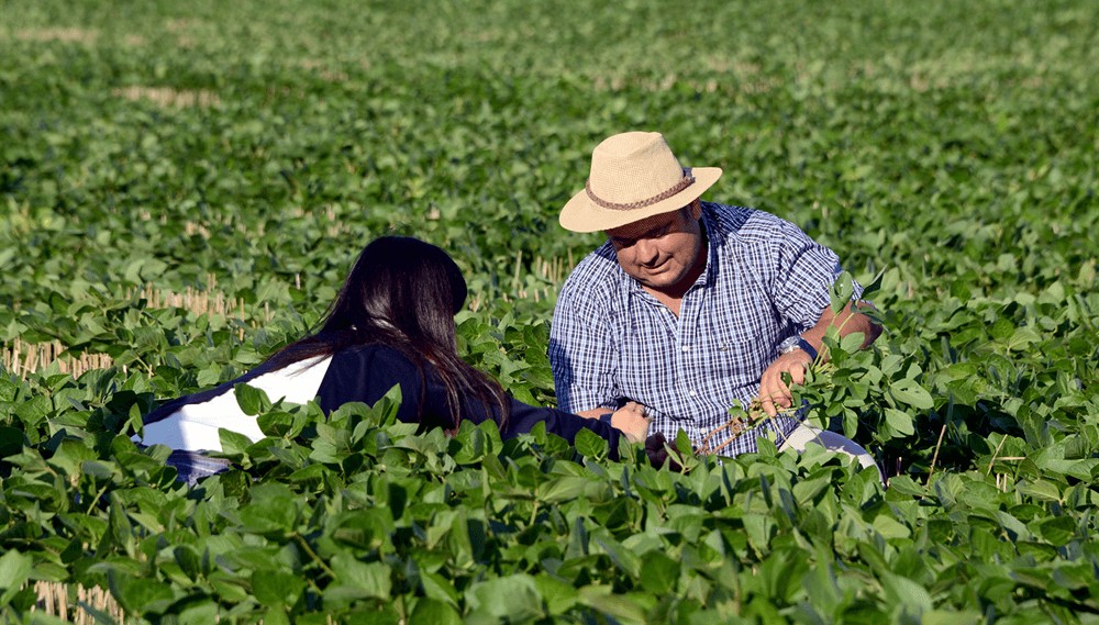 Día de la Agricultura Nacional: un homenaje a los pioneros del campo y al primer tractor argentino 2 productores sec agricultura