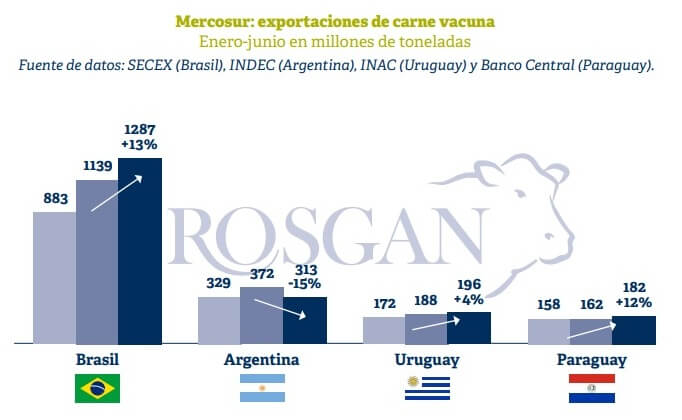 Tras un inicio de año desafiante, las exportaciones de carne consolidan signos de recuperación 3 rosgan