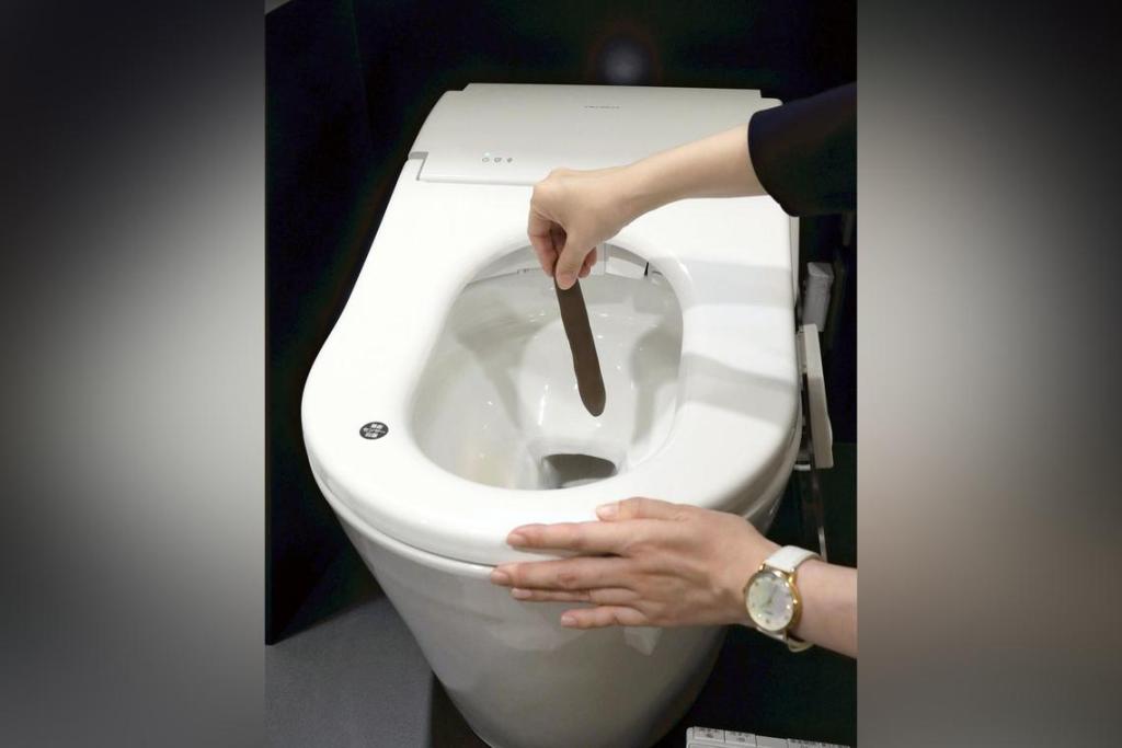 En Japón crearon un inodoro de última generación que analiza tus heces para mejorar la salud