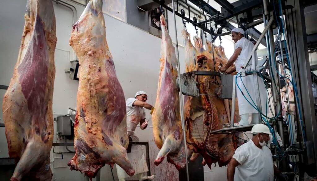 Los frigoríficos no logran disfrutar la mayor actividad: suba de costos, baja del cuero y “competencia desleal” 2 Carnes