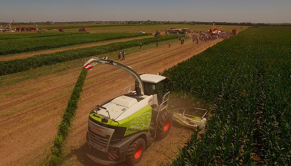 Capacitar, conectar y potenciar: llega a Córdoba el Congreso Argentino de Forrajes 2025 2 Claas Experiencia Forrajera y de Cosecha Sunchales 3