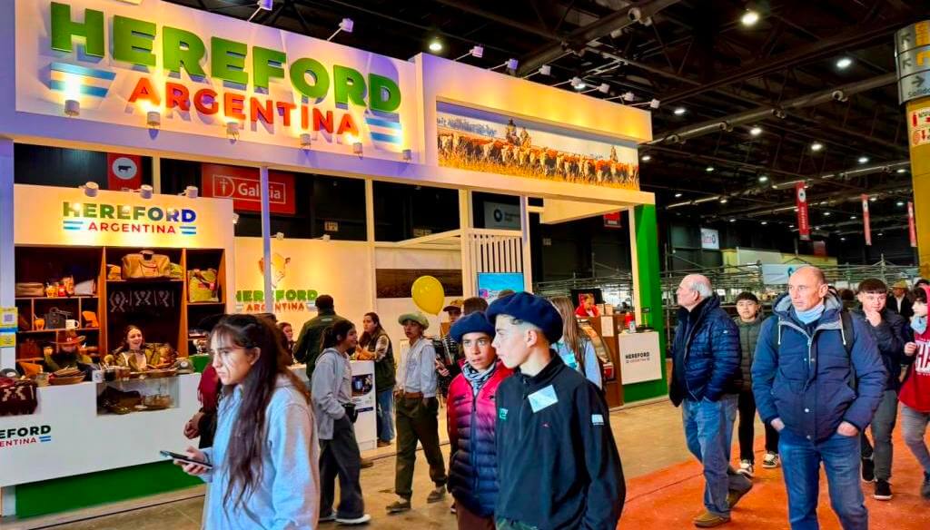 Del campo a la mesa, la carne Hereford certifica su genética de calidad 5 hereford 1