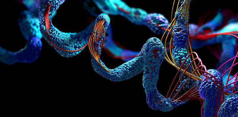 Crean virus funcionales diseñados completamente por IA: un paso hacia la vida generada por inteligencia artificial