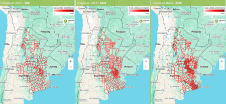 Un mapa que crece y preocupa: hay 25,8 millones de hectáreas con malezas resistentes o tolerantes 4 Grafico Conyza RALS para nota min