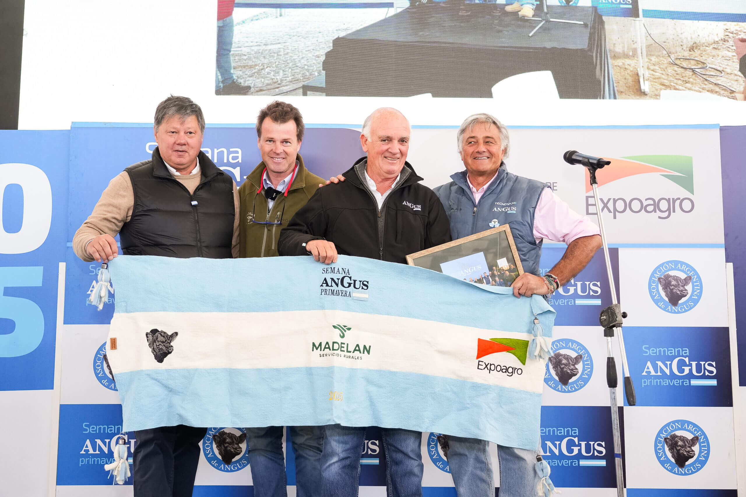 Remates en Cañuelas: en la primavera Angus, siguen floreciendo los altos precios de la hacienda 7 remate madelan angus