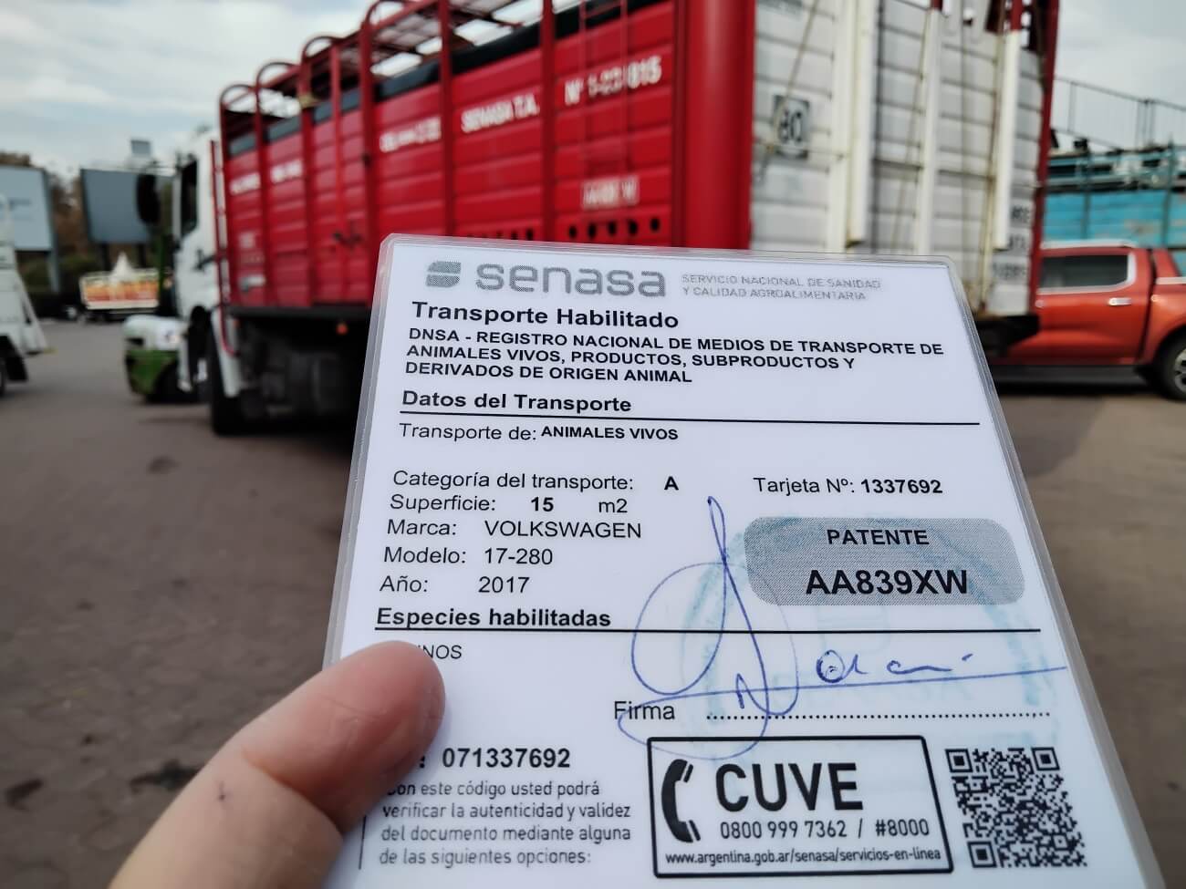 Nueva habilitación para el transporte de animales: la hacienda también viajará en bitrenes 2 transportedesycg