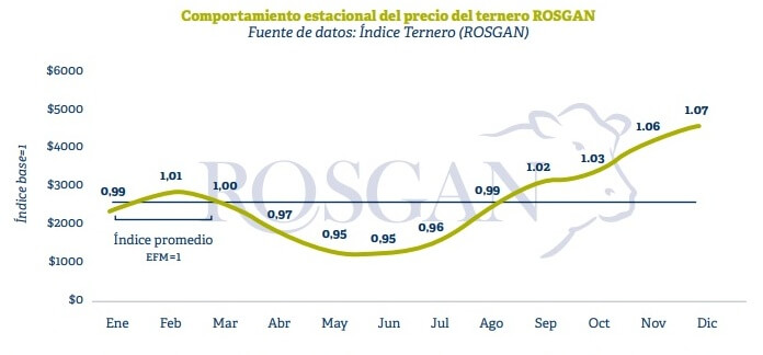 Subas del 8%: en medio de la incertidumbre electoral, el ternero se consolida como refugio de valor 4 feed