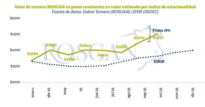 Subas del 8%: en medio de la incertidumbre electoral, el ternero se consolida como refugio de valor 3 ros