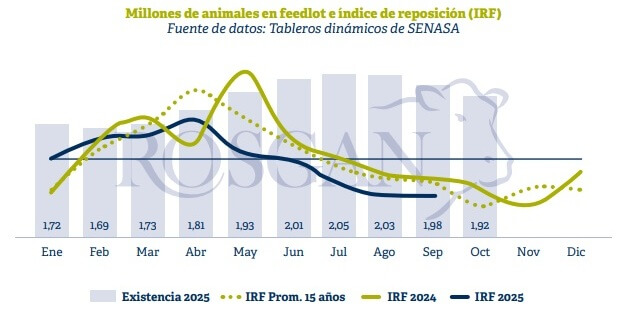 Se desacelera la faena bovina: ¿comenzó una fase de retención o es solo incertidumbre electoral? 3 rosgan2 1