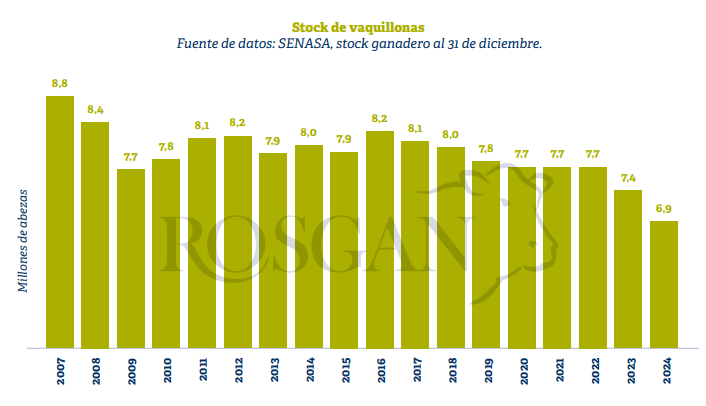 stock vaquillonas