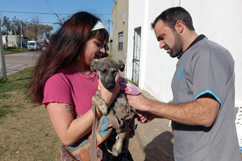 SAN LORENZO VACUNACION DE MASCOTAS CONTRA LA RABIA DESPARASITACION PERROS Y GATOS